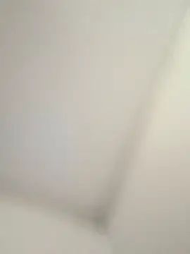 Snapshot of CelesteBailey chatting on September 2025 08:29:02 AM CelesteBailey online show from September 2025 08:29:02 AM