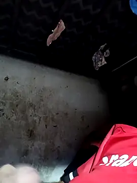 Rayito6969xh online show from November 2025 12:24:02 AM