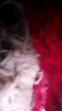 Snapshot of Bigcockmexi13 chatting on October 2025 03:11:01 PM Bigcockmexi13 online show from October 2025 03:11:01 PM