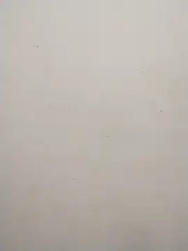 Snapshot of Shuttii_25 chatting on February 2025 09:14:02 AM Shuttii 25 online show from February 2025 09:14:02 AM