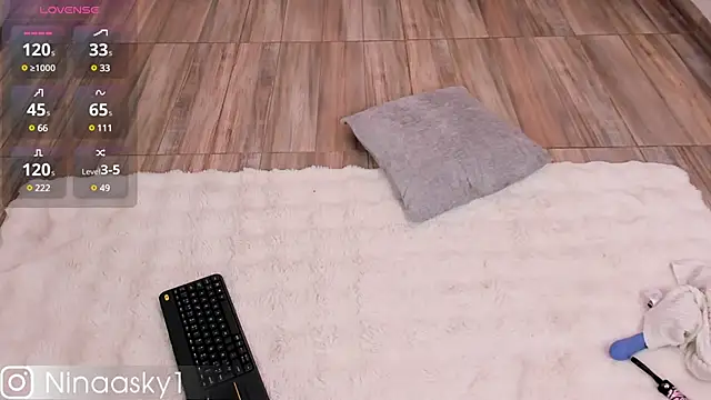 ninaa sky online show from December 2024 02:59:01 PM