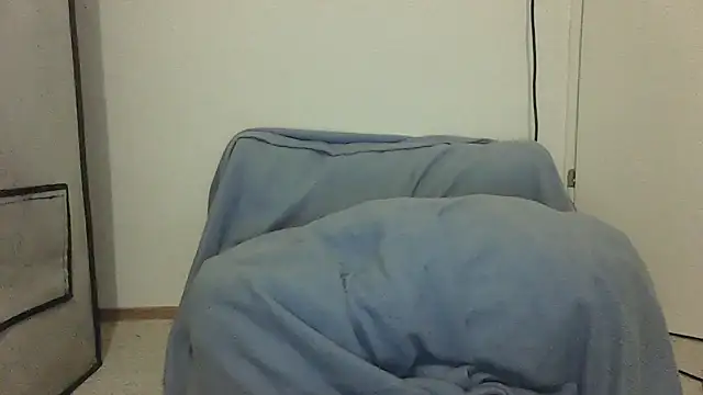 Snapshot of GeilerBull chatting on November 2025 11:47:01 PM GeilerBull online show from November 2025 11:47:01 PM