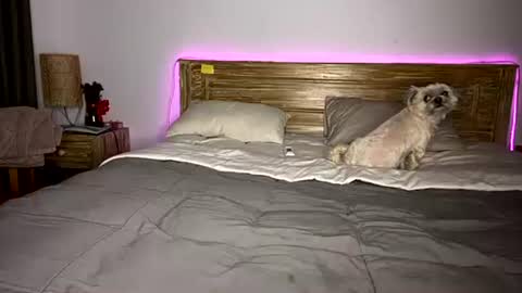 Snapshot of _elisavae chatting on December 2025 08:07:02 AM elisa online show from December 2025 08:07:02 AM