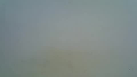 afronubians online show from March 2025 09:16:01 AM