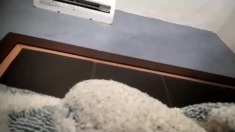 Snapshot of airoon91 chatting on November 2025 05:24:01 AM airoon91 online show from November 2025 05:24:01 AM