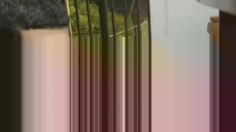 josevcam online show from February 2025 11:58:01 PM