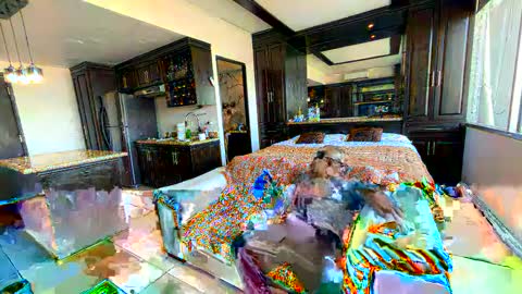 Snapshot of alenart chatting on February 2025 04:00:02 PM alenart online show from February 2025 04:00:02 PM