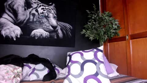 Anahi online show from December 2024 09:14:01 AM