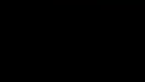 AnuarFox online show from February 2025 10:28:02 AM