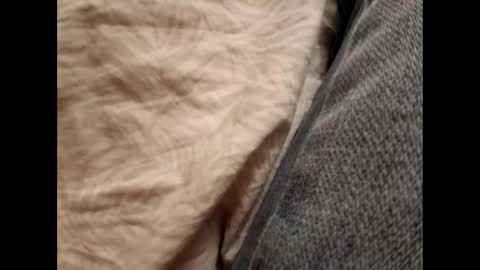 Snapshot of anytime07 chatting on November 2025 08:47:01 PM Daddy online show from November 2025 08:47:01 PM