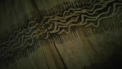 Snapshot of archkeinzas chatting on November 2025 04:34:02 AM olo online show from November 2025 04:34:02 AM