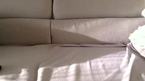 Snapshot of arpinopeer3055 chatting on November 2025 08:14:01 AM arpinopeer3055 online show from November 2025 08:14:01 AM