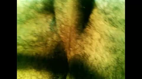 Snapshot of bayfall chatting on December 2024 10:28:02 PM bayfall online show from December 2024 10:28:02 PM