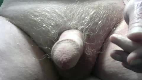 bender41 online show from February 2025 04:58:02 AM