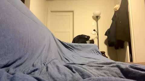 Snapshot of bigbuster685 chatting on November 2025 07:08:01 AM Buster685 online show from November 2025 07:08:01 AM