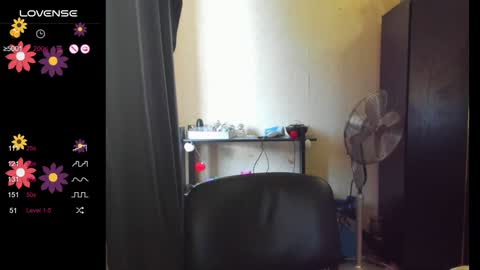 Nell online show from February 2025 11:38:02 AM