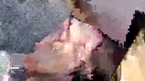 bossram160 online show from September 2025 07:52:01 PM