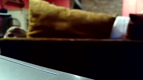 castration40 online show from October 2025 08:39:01 AM