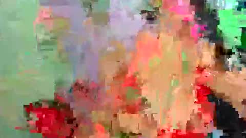 Chanell Brad online show from December 2025 02:26:01 PM