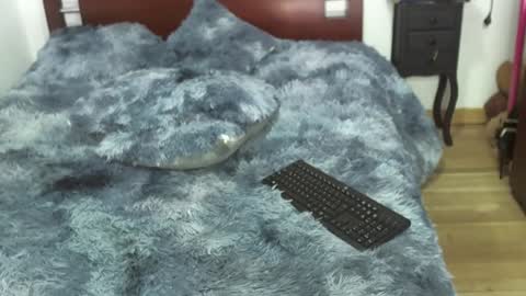 claudiabroke online show from December 2024 06:00:02 AM