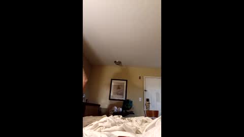 Snapshot of claytonbrannon3717547 chatting on December 2025 11:05:01 AM claytonbrannon3717547 online show from December 2025 11:05:01 AM