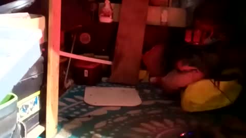 HeyTurkeyBoy online show from January 2025 09:39:02 AM
