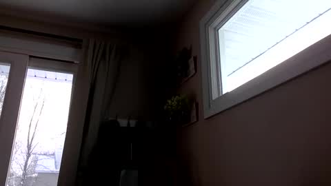 Snapshot of coachnta chatting on December 2025 02:00:02 PM COACH online show from December 2025 02:00:02 PM