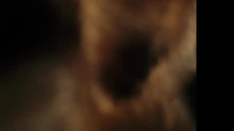 Snapshot of cumongiselle chatting on October 2025 07:41:01 PM Giselle online show from October 2025 07:41:01 PM