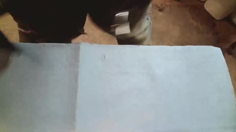 daddycumshroom online show from September 2025 06:38:01 AM