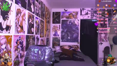 Dakapsy online show from November 2025 11:05:01 PM