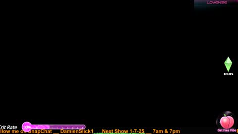 Damien Slick online show from January 2025 04:12:02 AM