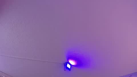 Snapshot of danee_19 chatting on March 2025 10:51:01 AM Daniela online show from March 2025 10:51:01 AM