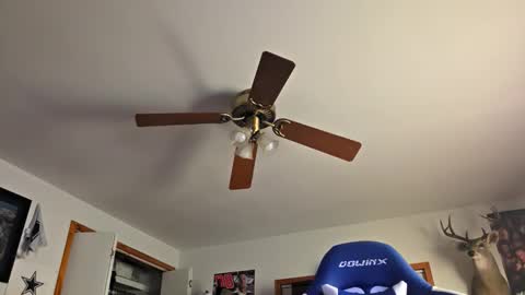 Snapshot of danielp_mod_cb chatting on October 2025 11:15:02 PM Daniel y. online show from October 2025 11:15:02 PM