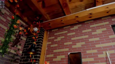 DAYRA ANGELS online show from December 2024 11:58:01 PM