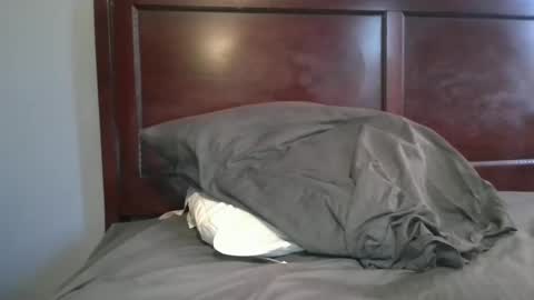 Snapshot of dbm1620 chatting on November 2025 08:33:02 PM dbm1620 online show from November 2025 08:33:02 PM