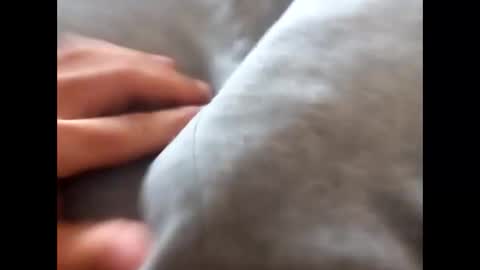 Snapshot of deliv_shopi chatting on November 2025 01:50:01 PM deliv_shopi online show from November 2025 01:50:01 PM