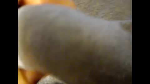 Snapshot of deliv_shopi chatting on November 2025 04:18:01 PM deliv_shopi online show from November 2025 04:18:01 PM