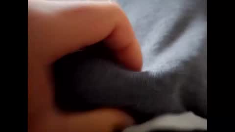 Snapshot of deliv_shopi chatting on December 2025 09:47:02 AM deliv_shopi online show from December 2025 09:47:02 AM