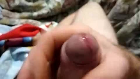 dingo_250 online show from September 2025 04:07:01 PM