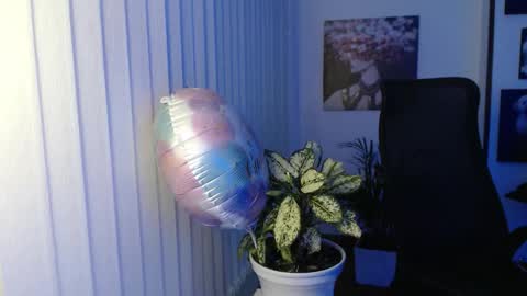 Snapshot of divineisis chatting on November 2025 10:04:02 AM Hera online show from November 2025 10:04:02 AM