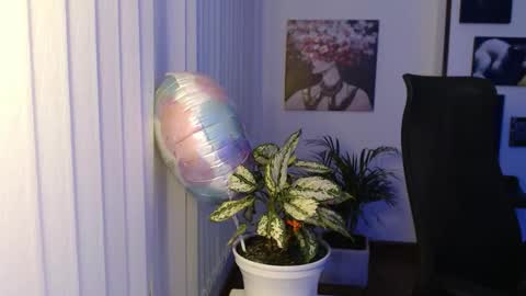 Snapshot of divineisis chatting on November 2025 10:07:01 AM Hera online show from November 2025 10:07:01 AM