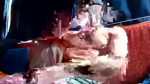 doghouseblue online show from March 2025 08:43:01 AM