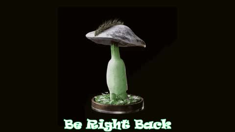 Tara  Sonny online show from October 2025 12:17:02 AM