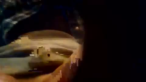 Snapshot of dusterdime chatting on October 2025 05:38:02 AM dusterdime online show from October 2025 05:38:02 AM