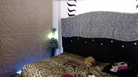 ELEKTRA  hii my birthday is tomorrow but I will celebrate it on Sunday Ill wait for you online show from December 2024 04:16:02 AM