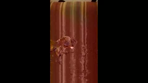 Snapshot of enricoital chatting on December 2025 07:01:02 AM enricoital online show from December 2025 07:01:02 AM