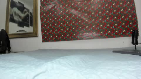 Estrella online show from December 2024 12:04:01 PM