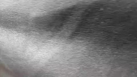 Snapshot of ethan_anavrin chatting on November 2025 06:56:02 PM greetings sergi online show from November 2025 06:56:02 PM