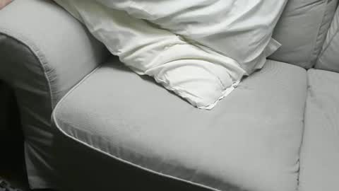 Fid online show from November 2025 09:48:02 AM