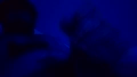 Snapshot of giuseppeciao206 chatting on December 2025 09:08:02 PM elen06 online show from December 2025 09:08:02 PM